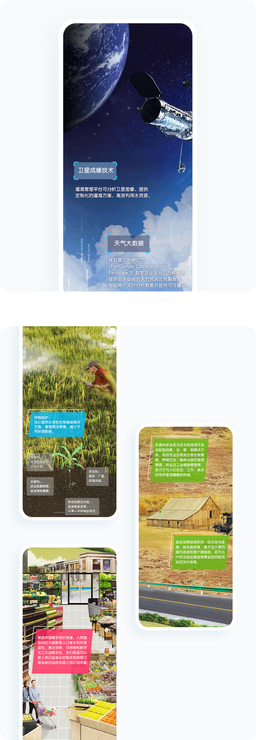 案例详细图解