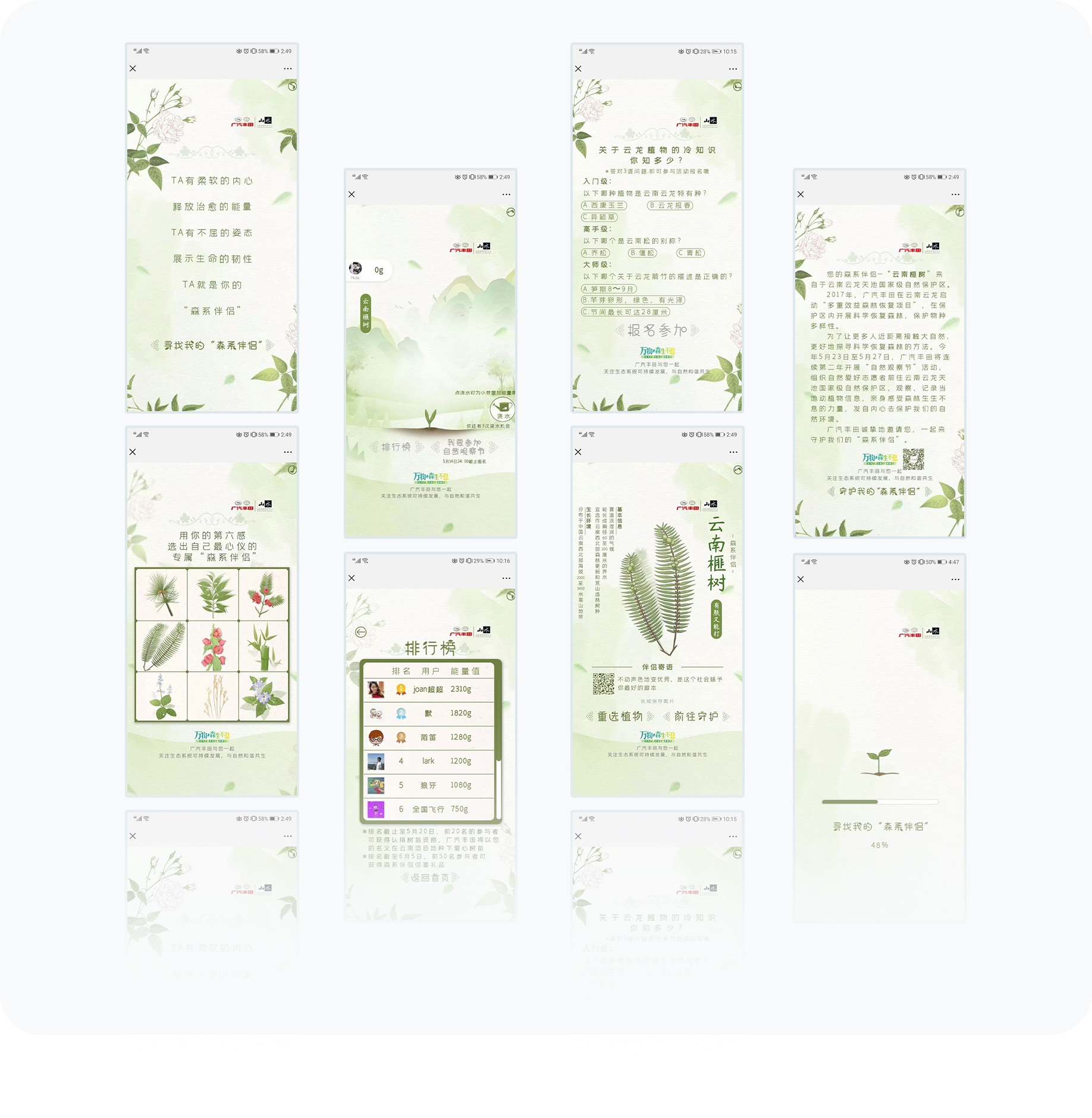 大图2